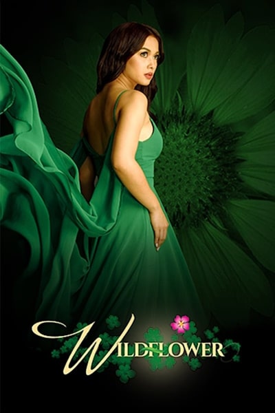 Wildflower - Season 1