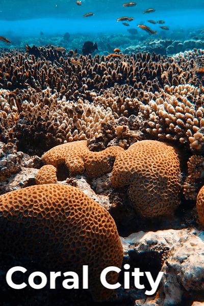 Coral City - Season 1