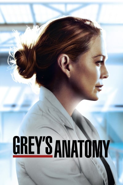 Greys Anatomy - Season 17