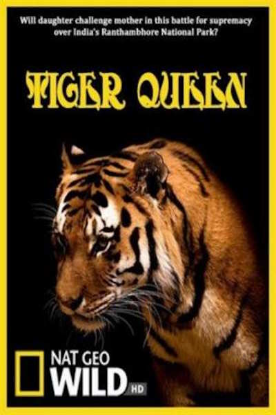 Tiger Queen (2010)