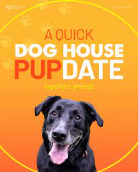 The Dog House Australia - Season 2