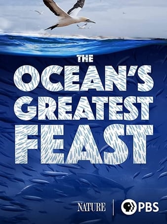 The Oceans Greatest Feast