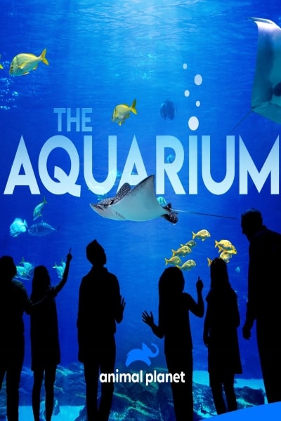 The Aquarium - Season 1
