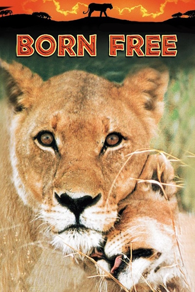 Born Free - Season 1