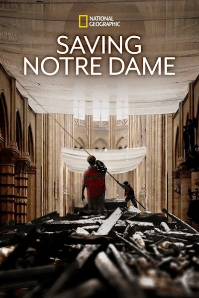 Saving Notre-Dame