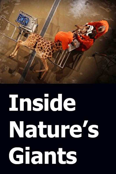 Inside Natures Giants - Season 4