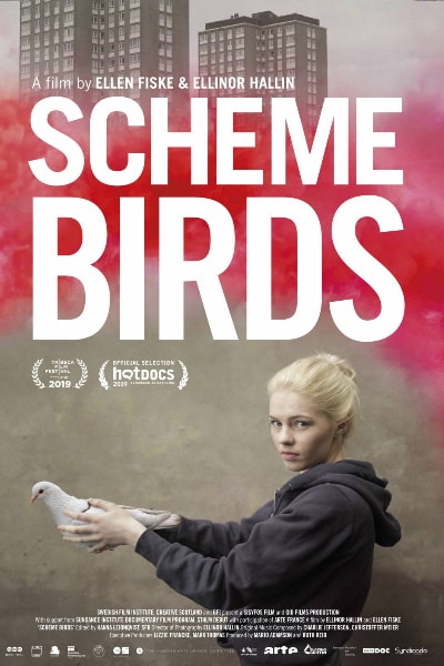 Scheme Birds [Sub: Eng]