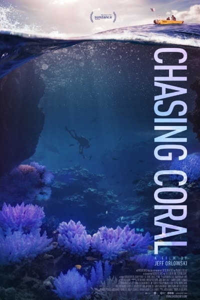 Chasing Coral
