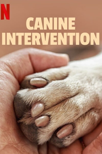 Canine Intervention - Season 1