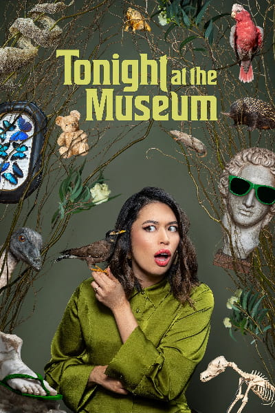 Tonight at the Museum - Season 1