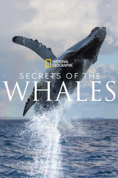 Secrets of the Whales - Season 1