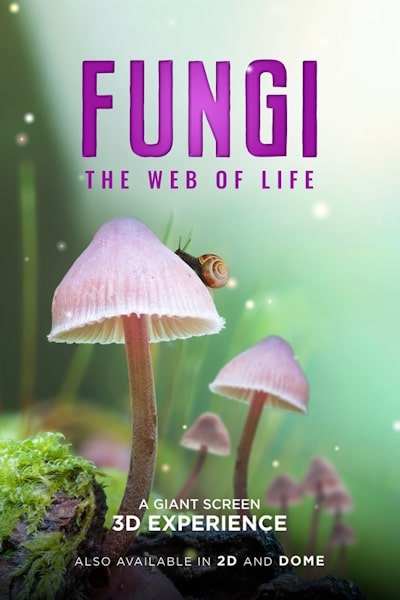 Fungi: The Web of Life (2023)