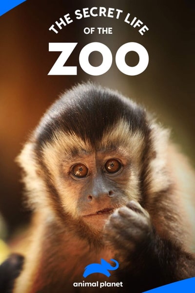 The Secret Life of The Zoo - Season 1