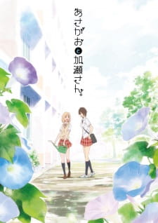 Kimi no Hikari: Asagao to Kase-san. [Audio: Eng]